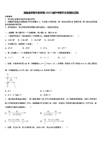 湖南省邵阳市新邵县2025届中考数学全真模拟试题含解析