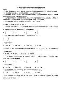 2025届宁夏银川市中考数学适应性模拟试题含解析