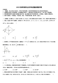 2025年绥中县毕业升学考试模拟卷数学卷含解析