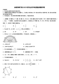 徐州市睢宁县2025年毕业升学考试模拟卷数学卷含解析