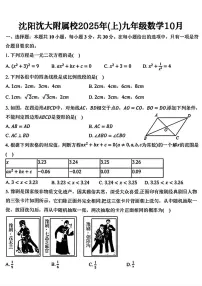 辽宁省沈阳市沈阳大学附属学校2025-2026学年上学期10月月考九年级数学试题