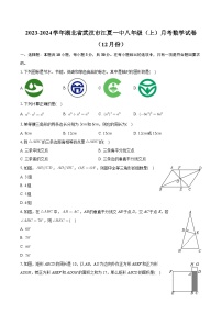 湖北省武汉市江夏区第一中学2023-2024学年八年级上学期12月月考数学试卷