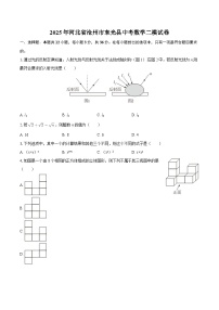 2025年河北省沧州市东光县中考数学二模试卷-自定义类型
