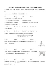 2024-2025学年四川省自贡市七年级（下）期末数学试卷-自定义类型