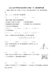 2024-2025学年四川省自贡市七年级（下）期末数学试卷-自定义类型