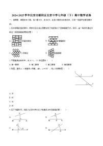 2024-2025学年北京市朝阳区北京中学七年级（下）期中数学试卷-自定义类型