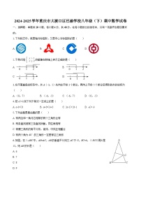 2024-2025学年重庆市大渡口区巴渝学校八年级（下）期中数学试卷-自定义类型