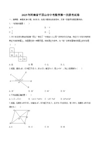 2025年河南省平顶山市中考数学第一次联考试卷-自定义类型