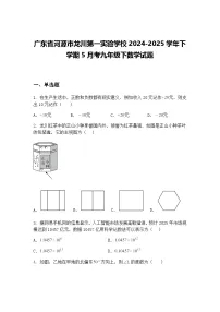 广东省河源市龙川第一实验学校2024-2025学年下学期5月考九年级下数学试题（含答案解析）