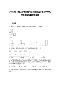 2025年4月辽宁省抚顺市新宾县大四平第二中学九年级下模拟数学测试题（含答案解析）