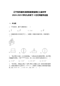 辽宁省抚顺市清原县夏家堡镇红土庙中学2024-2025学年九年级下3月月考数学试题（含答案解析）