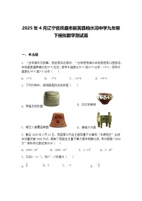 2025年4月辽宁省抚顺市新宾县响水河中学九年级下模拟数学测试题（含答案解析）