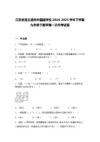 江苏省连云港市外国语学校2024-2025学年下学期九年级下数学第一次月考试题（含答案解析）