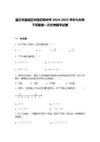 宿迁市宿城区中扬初级中学2024-2025学年九年级下学期第一次月考数学试卷（含答案解析）