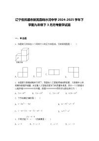 辽宁省抚顺市新宾县响水河中学2024-2025学年下学期九年级下3月月考数学试题（含答案解析）