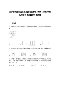 辽宁省抚顺市清原县英额门镇中学2024--2025学年九年级下4月数学月考试卷（含答案解析）