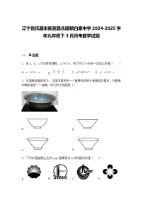 辽宁省抚顺市新宾县永陵镇白家中学2024-2025学年九年级下3月月考数学试题（含答案解析）