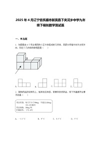 2025年4月辽宁省抚顺市新宾县下夹河乡中学九年级下模拟数学测试题（含答案解析）