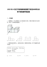 2025年4月辽宁省抚顺市新宾县下夹河乡中学九年级下模拟数学测试题（含答案解析）