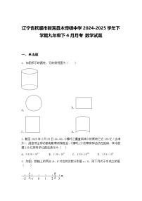 辽宁省抚顺市新宾县木奇镇中学2024-2025学年下学期九年级下4月月考 数学试题（含答案解析）