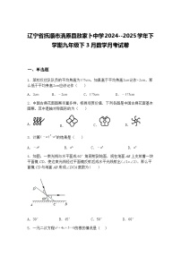 辽宁省抚顺市清原县敖家卜中学2024--2025学年下学期九年级下3月数学月考试卷（含答案解析）
