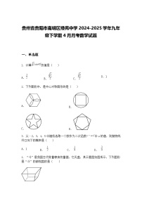 贵州省贵阳市南明区绿苑中学2024-2025学年九年级下学期4月月考数学试题（含答案解析）
