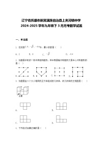 辽宁省抚顺市新宾满族自治县上夹河镇中学2024-2025学年九年级下3月月考数学试题（含答案解析）