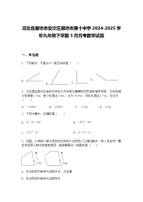 河北省廊坊市安次区廊坊市第十中学2024-2025学年九年级下学期3月月考数学试题（含答案解析）