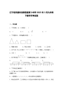 辽宁省抚顺市清原县夏家卜中学2025年3月九年级下数学月考试题（含答案解析）