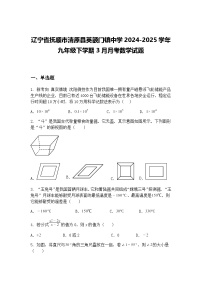 辽宁省抚顺市清原县英额门镇中学2024-2025学年九年级下学期3月月考数学试题（含答案解析）
