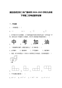 湖北省武汉市二中广雅中学2024-2025学年九年级下学期二月考试数学试卷（含答案解析）