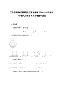 辽宁省抚顺市清原县北三家乡中学2024-2025学年下学期九年级下4月月考数学试题（含答案解析）