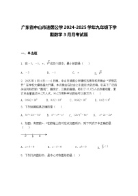广东省中山市迪茵公学2024-2025学年九年级下学期数学3月月考试题（含答案解析）