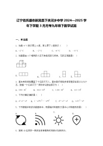 辽宁省抚顺市新宾县下夹河乡中学2024—2025学年下学期3月月考九年级下数学试题（含答案解析）