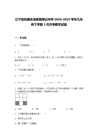辽宁省抚顺市清原县翔云中学2024-2025学年九年级下学期3月月考数学试题（含答案解析）