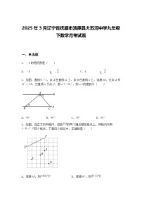 2025年3月辽宁省抚顺市清原县大苏河中学九年级下数学月考试题（含答案解析）