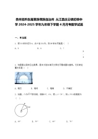 贵州省黔东南苗族侗族自治州 从江县庆云镇初级中学2024-2025学年九年级下学期4月月考数学试题（含答案解析）
