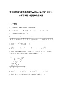 河北省沧州市青县青县第三中学2024-2025学年九年级下学期3月月考数学试题（含答案解析）