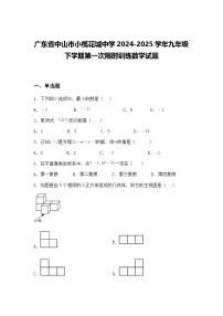 广东省中山市小榄花城中学2024-2025学年九年级下学期第一次限时训练数学试题（含答案解析）