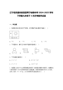 辽宁省抚顺市新宾县苇子峪镇中学2024-2025学年下学期九年级下3月月考数学试题（含答案解析）