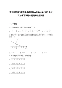 河北省沧州市青县清州镇实验中学2024-2025学年九年级下学期4月月考数学试题（含答案解析）