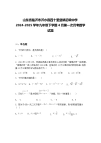 山东省临沂市沂水县四十里堡镇初级中学2024-2025学年九年级下学期4月第一次月考数学试题（含答案解析）