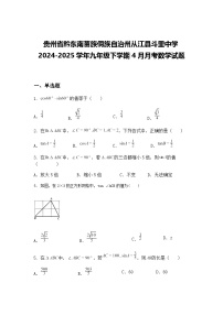 贵州省黔东南苗族侗族自治州从江县斗里中学2024-2025学年九年级下学期4月月考数学试题（含答案解析）