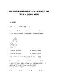 河北省沧州市青县第四中学2024-2025学年九年级下学期3月月考数学试题（含答案解析）