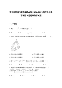 河北省沧州市青县第四中学2024-2025学年九年级下学期3月月考数学试题（含答案解析）