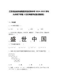 江苏省盐城市射阳县实验初级中学2024-2025学年九年级下学期3月月考数学试题(普通班）（含答案解析）