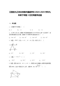 江西省九江市永修县外国语学校2024-2025学年九年级下学期3月月考数学试题（含答案解析）