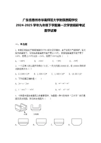 广东省惠州市华南师范大学附属惠阳学校2024-2025学年九年级下学期第一次学情调研考试数学试卷（含答案解析）