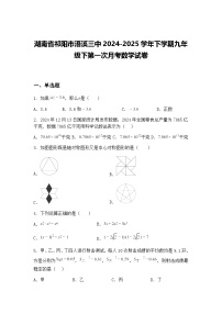 湖南省祁阳市浯溪三中2024-2025学年下学期九年级下第一次月考数学试卷（含答案解析）