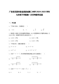 广东省河源市紫金县紫城第二中学2024-2025学年九年级下学期第一次月考数学试题（含答案解析）